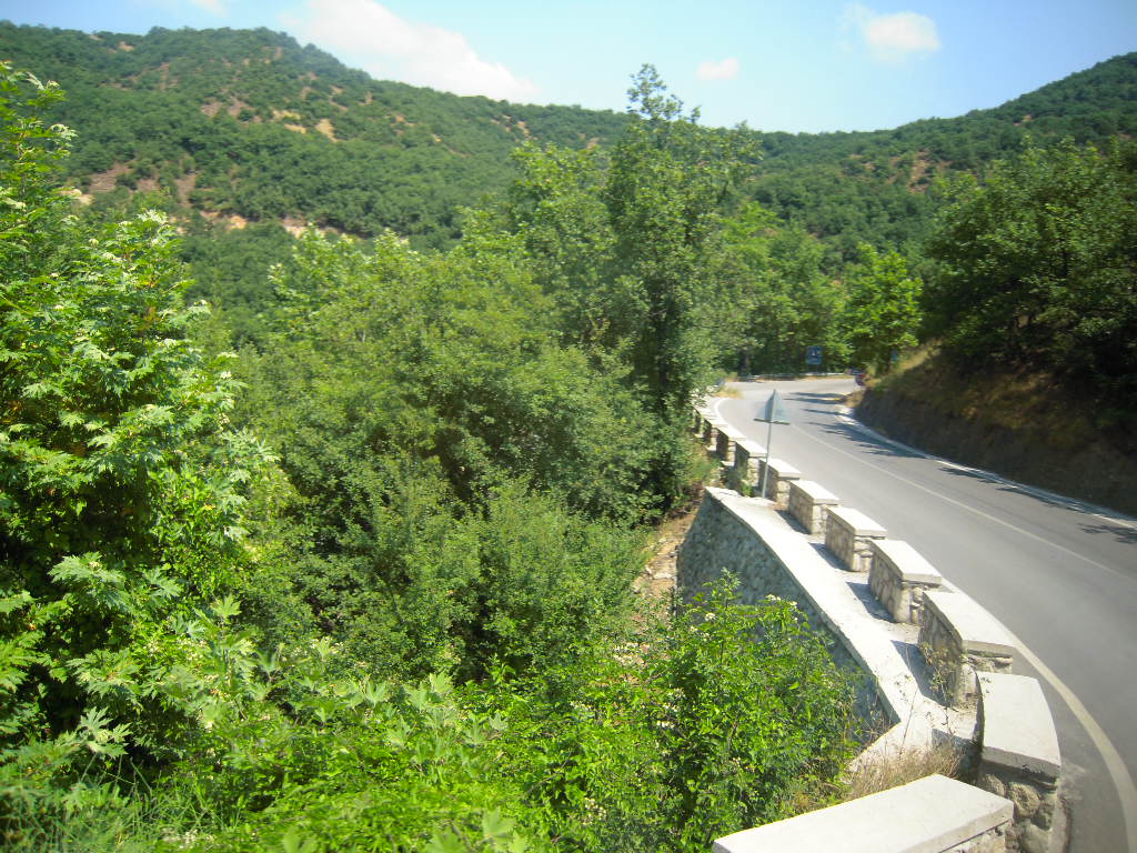 DSCN0642